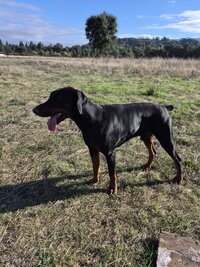 image000001.jpg image000001.jpg