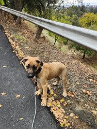 1000019999.jpg 1000019999.jpg