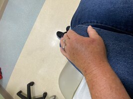 IMG_2647.jpeg