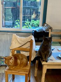 IMG_9168.jpeg