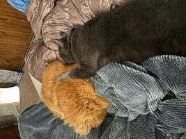 IMG_2565.jpeg