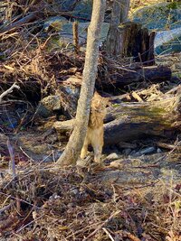 IMG_4308.jpeg