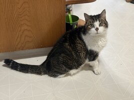 IMG_5788.jpeg