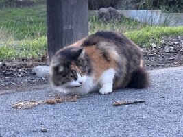 IMG_7963.jpeg