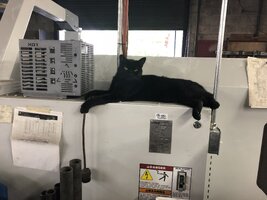 IMG_0058.jpeg