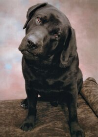 2021-01-05 13.55.50.jpg