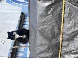 IMG_2520.jpeg