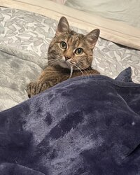 IMG_3412.jpeg