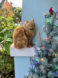 IMG_4028.jpeg