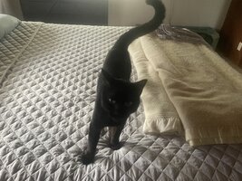 IMG_0718.jpeg