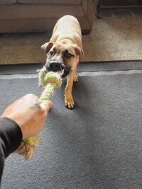 1000022087.jpg