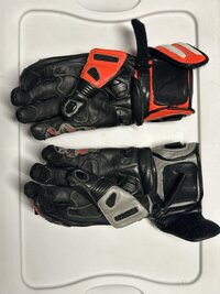IMG_4705 Large.jpeg