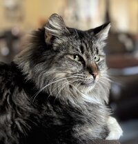 IMG_0218.jpeg
