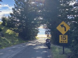 IMG_1952.jpeg