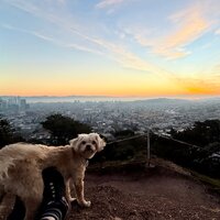 IMG_3813.jpeg