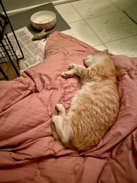 IMG_2203.jpeg