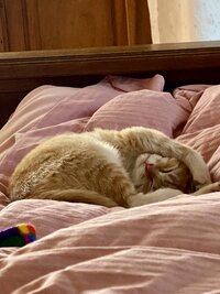 IMG_2256.jpeg