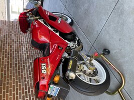IMG_9910.jpeg