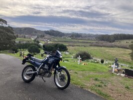 IMG_9557.jpeg