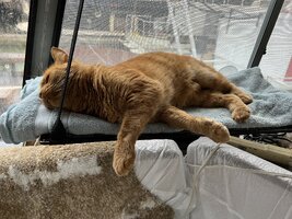 IMG_1324.jpeg