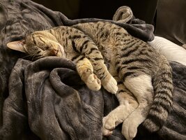 IMG_8679.jpeg