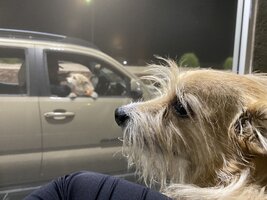 IMG_3762.jpeg