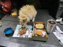 IMG_3284.jpeg
