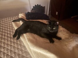 IMG_0746.jpeg