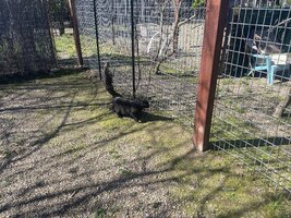 IMG_0749.jpeg