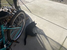 IMG_0751.jpeg