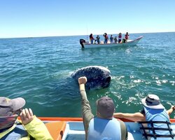 IMG_4455.jpeg IMG_4455.jpeg