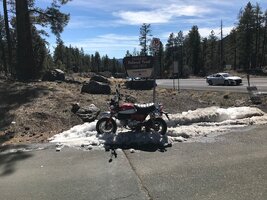 IMG_7859.jpg