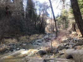 IMG_7873.jpg