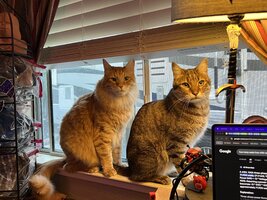 IMG_1478.jpeg