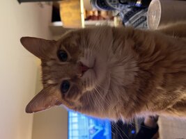 IMG_2330.jpeg