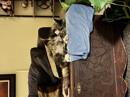 IMG_0835.jpeg