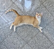 IMG_5844.jpeg