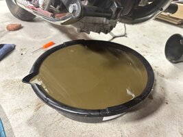 IMG_2342_oil.jpg
