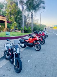 IMG_7849.jpeg