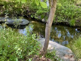 IMG_7308.jpeg