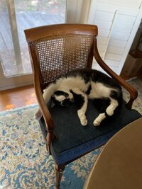sleepybolt.jpg