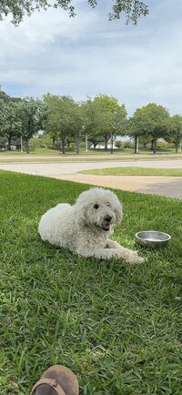 IMG_2541.jpeg