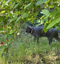 IMG_7902.jpeg