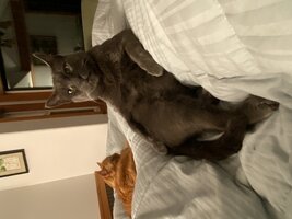 IMG_7925.jpeg