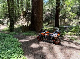IMG_2845.jpeg