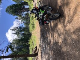 IMG_1151.jpeg