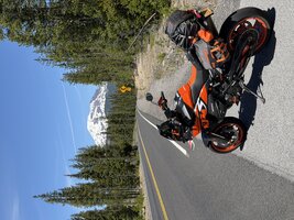 IMG_3124.jpeg