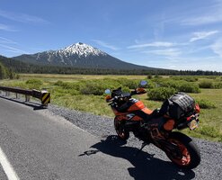 IMG_3125.jpeg