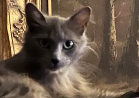 IMG_1606.jpeg