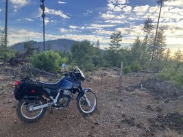 IMG_0772.jpeg
